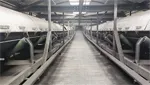 Проект ленточной конвейерной системы для кокса Shanxi Gengyang Investment Group